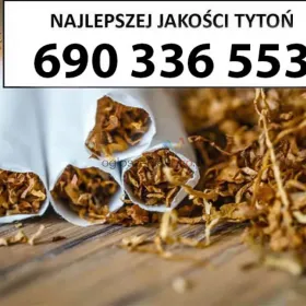 EXTRA Jakości TYTOŃ 85 PLN / 1KG