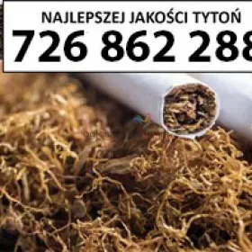 SUPER Jakości TYTOŃ 85 PLN / 1KG